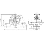 یاتاقان UCP 205 دو پیچ آساهی  ASAHI - Image 2